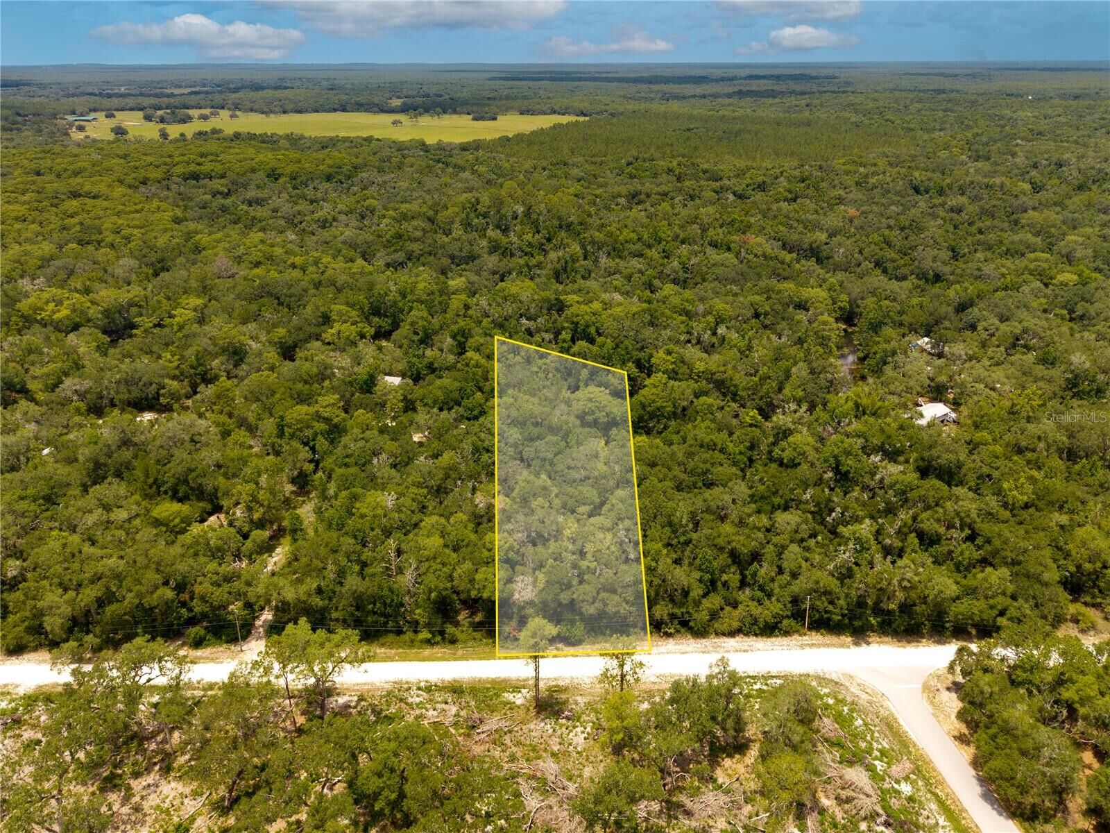 Property Photo:  7353 Riverview Drive  FL 33597 