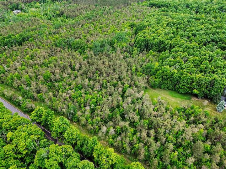 Property Photo: Vl Robinson Road MI 49740