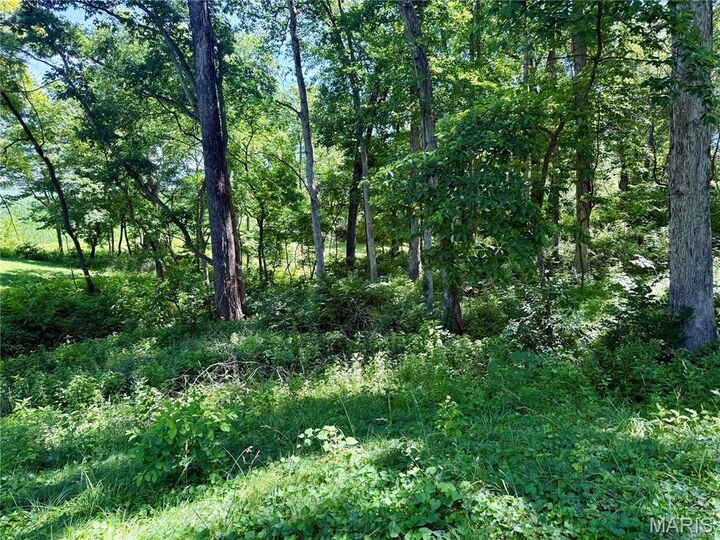 Property Photo:  7263 Arke Drive  IL 62223 