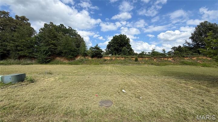 Property Photo: 00 Palm Tree Drive MO 63901