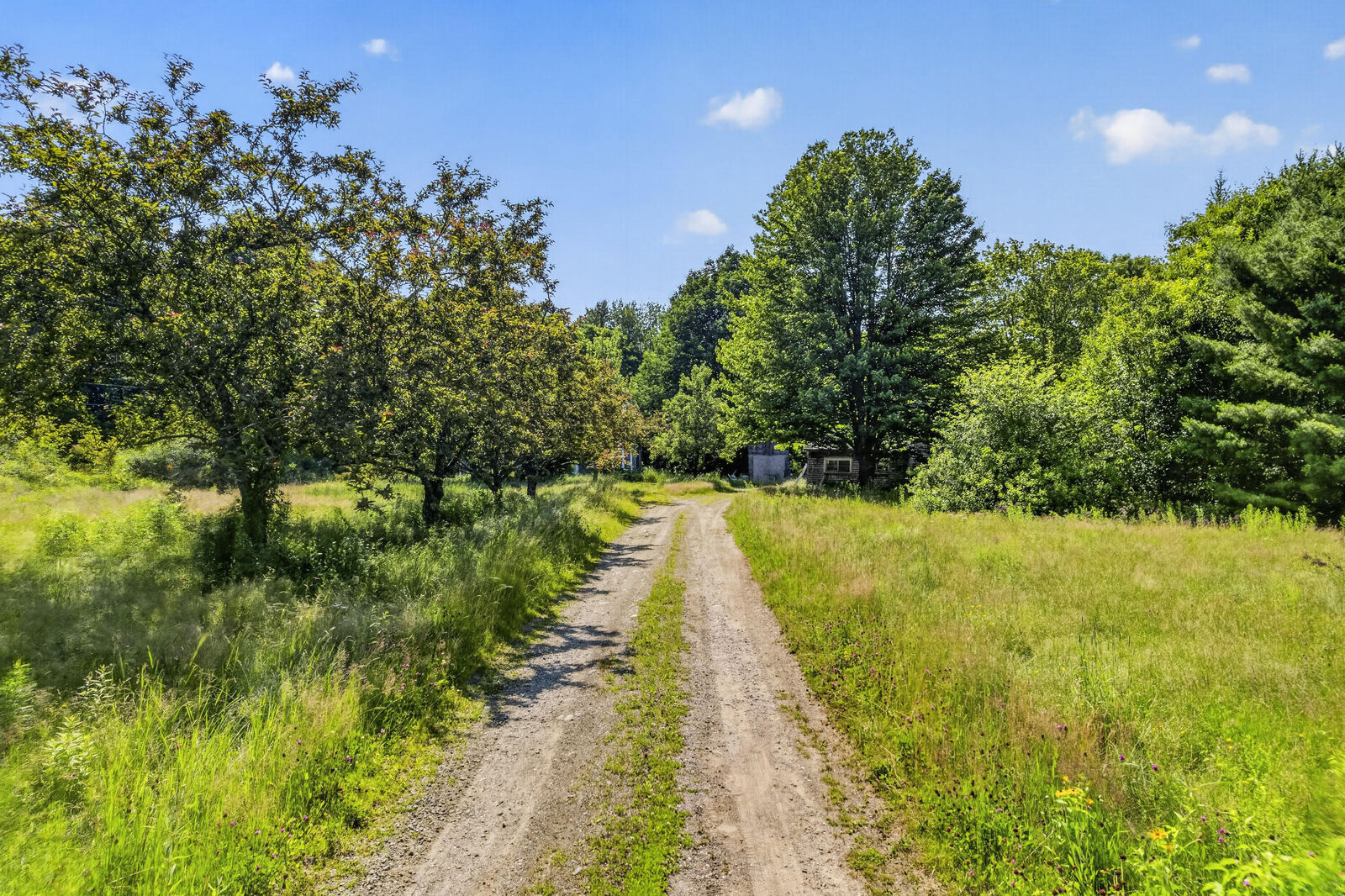 Property Photo:  67 Ralph Wink Road  ME 04572 