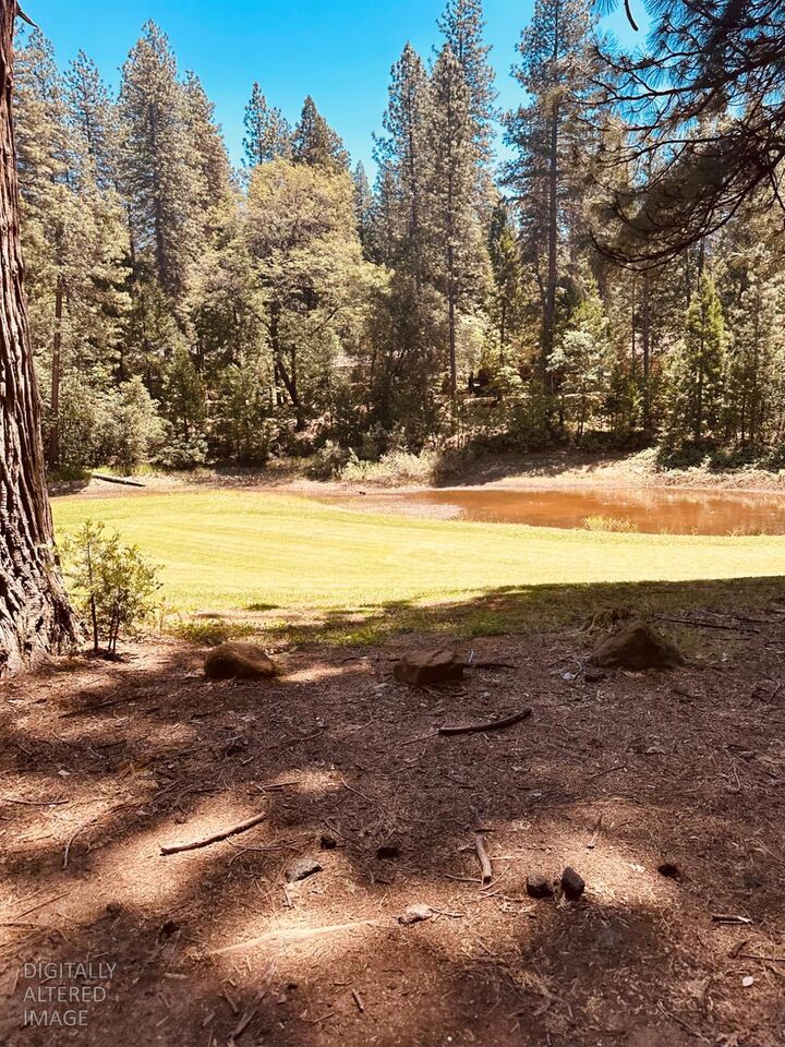 Property Photo:  633 Forest Meadows Drive  CA 95247 