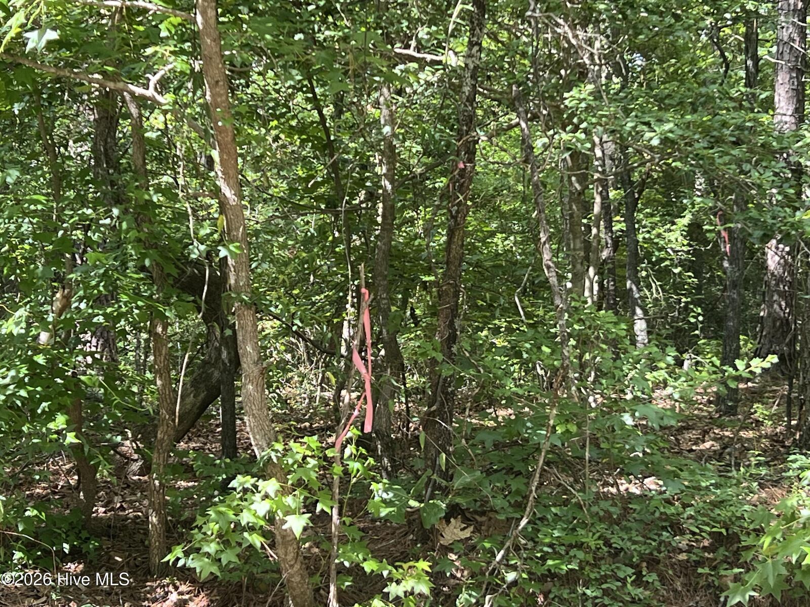 Property Photo:  747 78 Sandspur Drive  NC 28394 