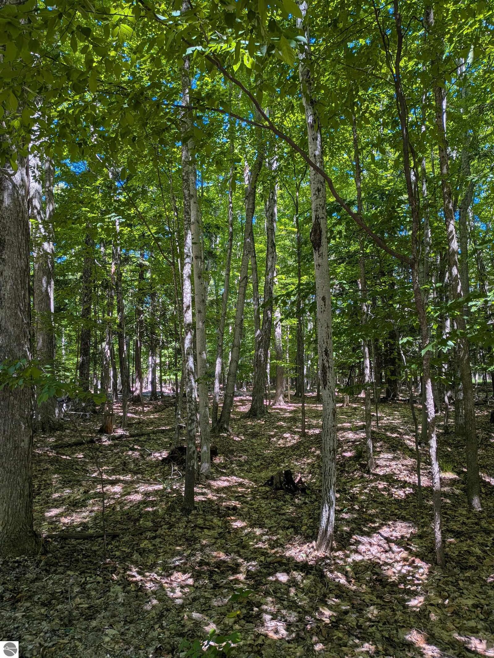 Property Photo: M-48 MI 49774