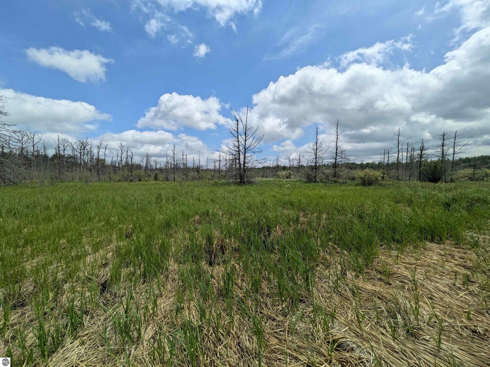 Property Photo: M-48 MI 49774
