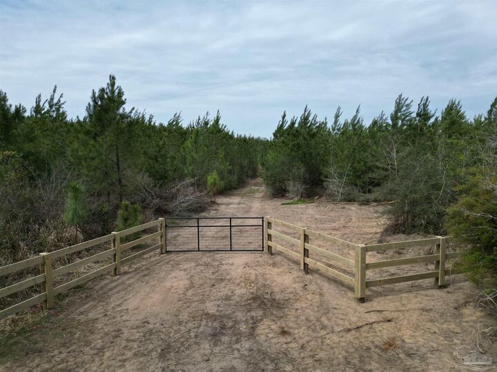Property Photo:  1000 Blk Hwy 97  FL 32577 