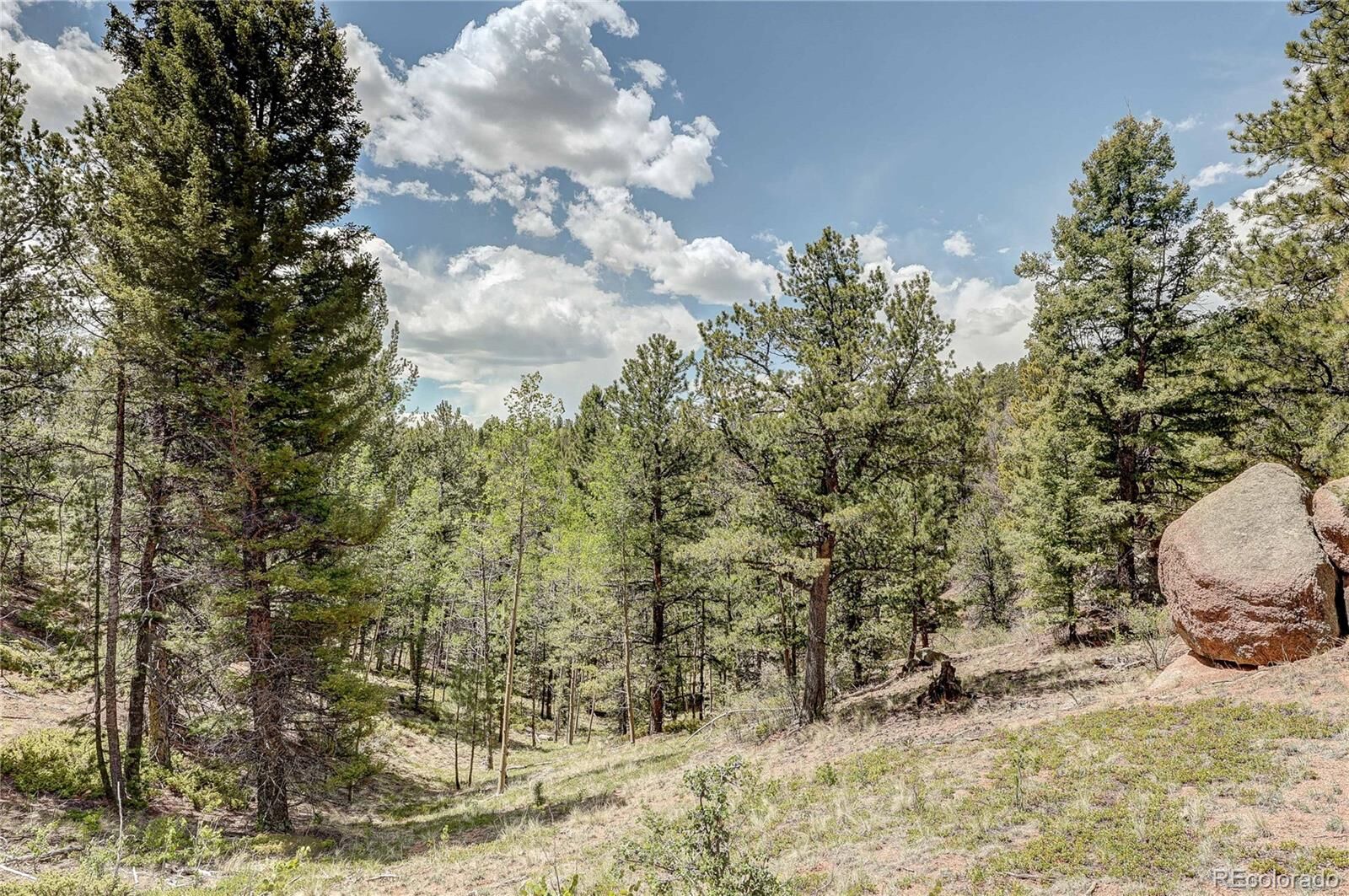 Property Photo:  59 Robin Point  CO 80814 