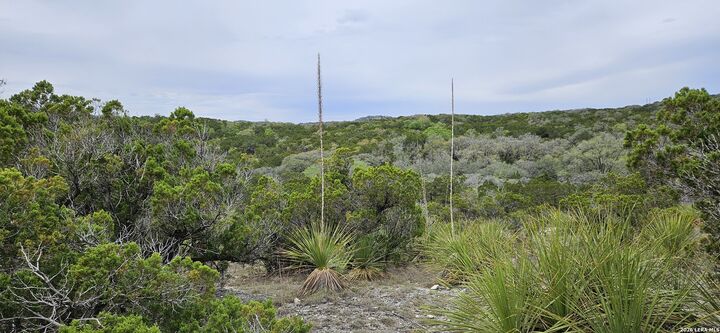 Property Photo: 21207 Scenic Loop TX 78023