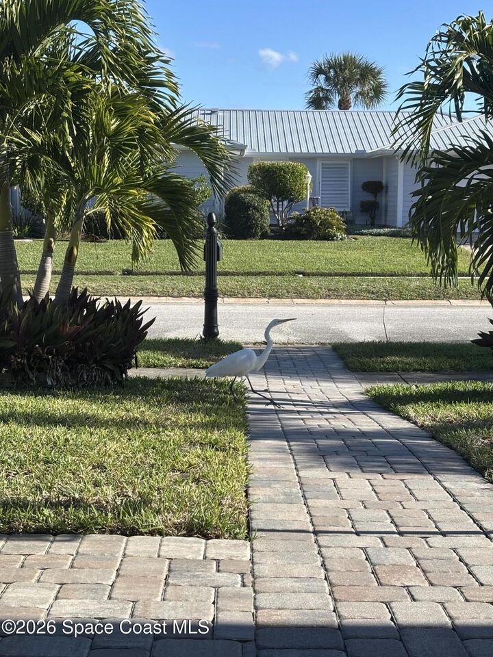 Property Photo:  1908 Cedar Lane  FL 32951 