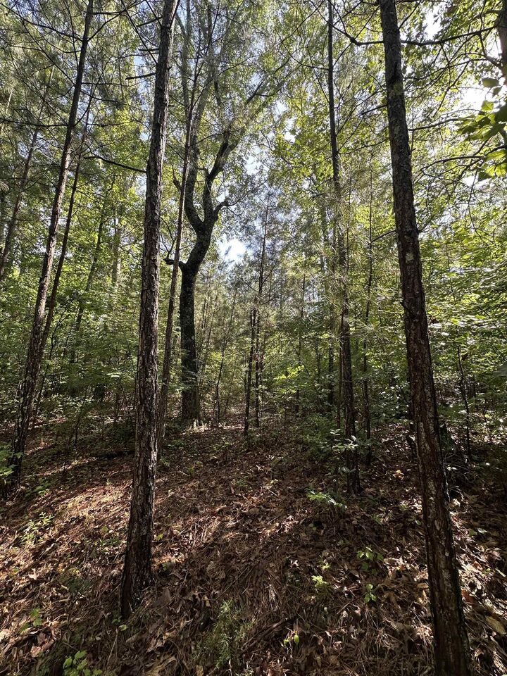 Property Photo:  Old Buncombe Road ***  SC 29379 