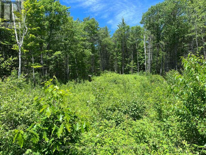 Property Photo:  695 Long Lake Road  ON K0J 1B0 