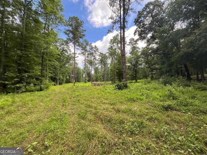Property Photo:  20 +/- Ac Crooked Creek Road  GA 31024 