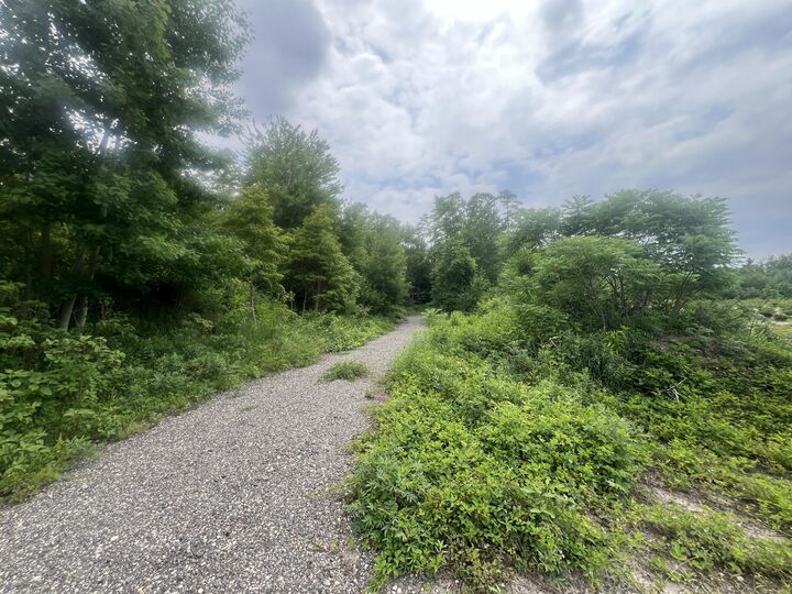 Property Photo: Vl Pierce Street MI 49460