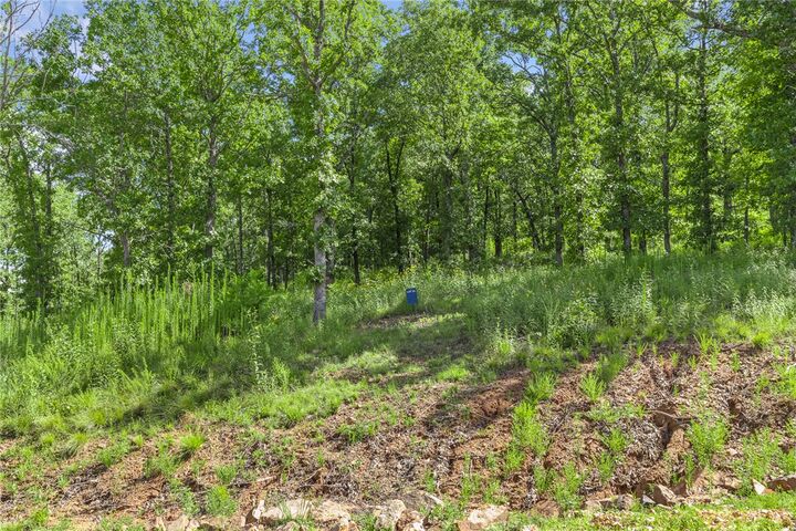 Property Photo:  Lot 22 Restore Ridge  AR 72601 