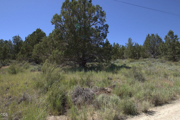 Property Photo: Wasco Street Lot 3 OR 97639