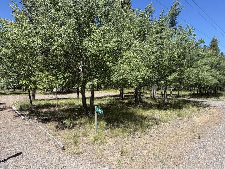 Property Photo: 55869 Black Duck Road OR 97707