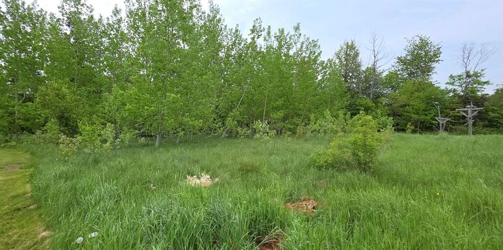 Property Photo:  Lot Gaul Road  PE C0A 1R0 