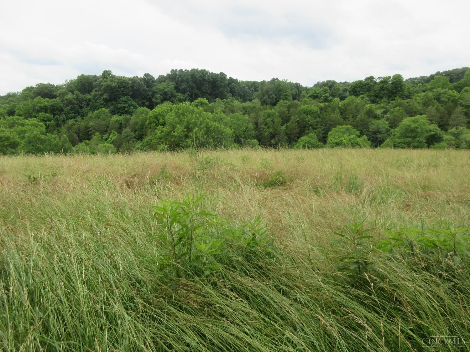 Property Photo:  0 Dewitt Road  IN 47032 