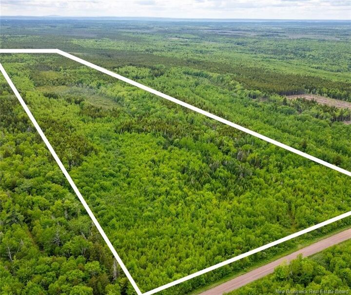 Property Photo:  Lot Coburg Road  NB E4M 1M5 