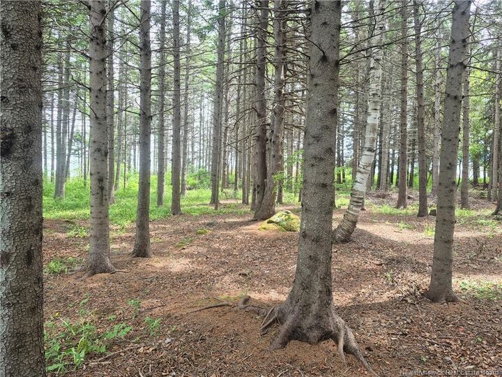 Property Photo:  2.3 Acres Route 134  NB E8J 2E5 
