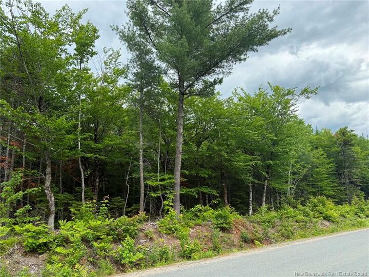 Lot 3 Hansen Road — photo 1