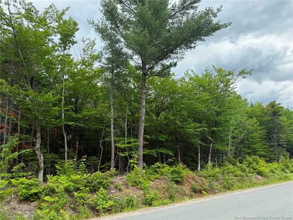 Property Photo:  Lot 3 Hansen Road  NB E1V 3M2 