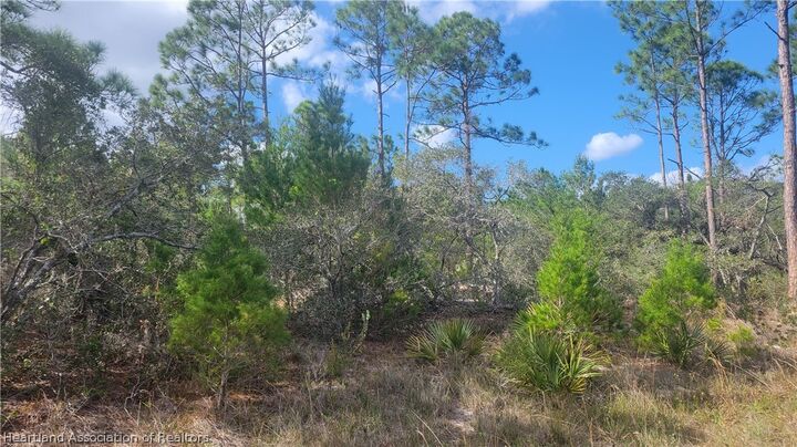 Property Photo: 648 Buchanan Street FL 33852