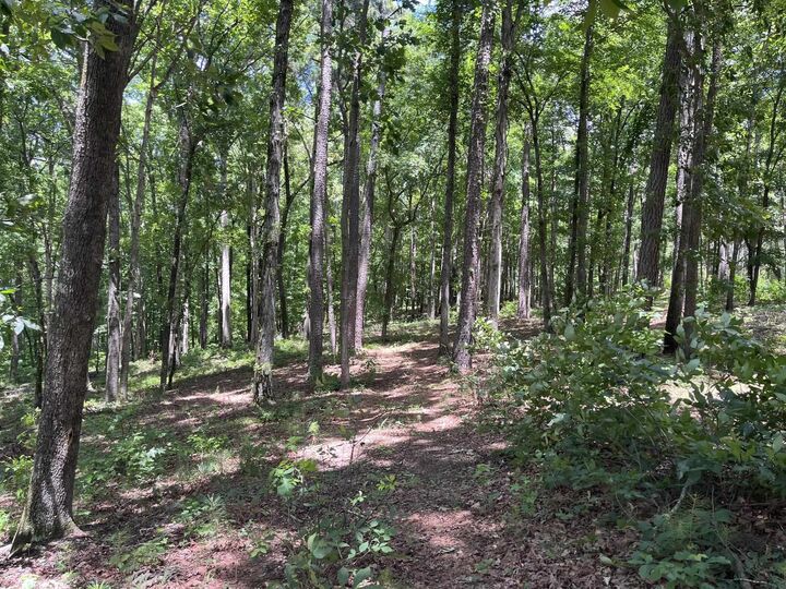 Property Photo: 1577 Pullman Lane GA 30642