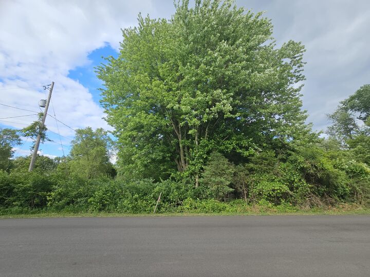 Property Photo:  0 V/L Carlysle Drive  MI 49230 
