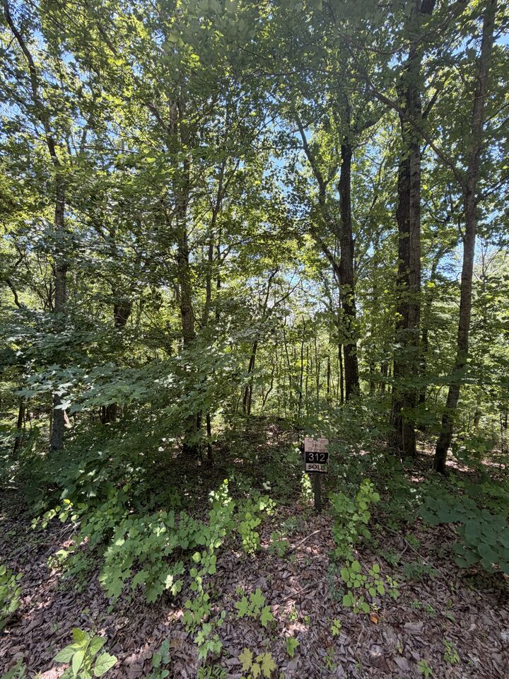 Property Photo:  0 Woodcrest Dr  TN 37166 