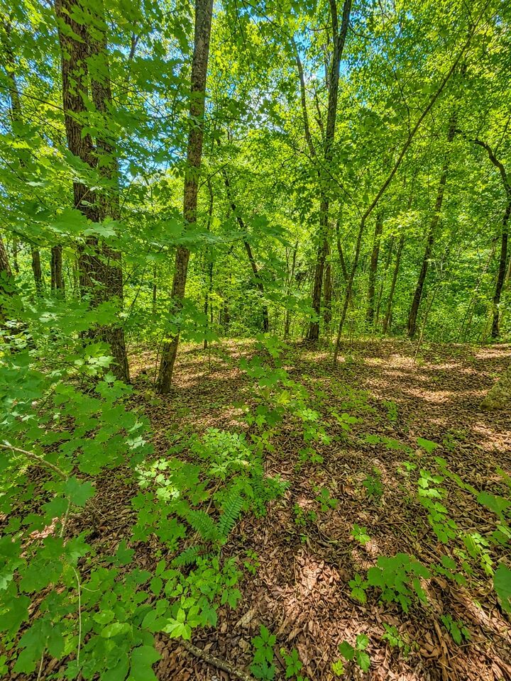 Property Photo:  0 Woodcrest Dr  TN 37166 