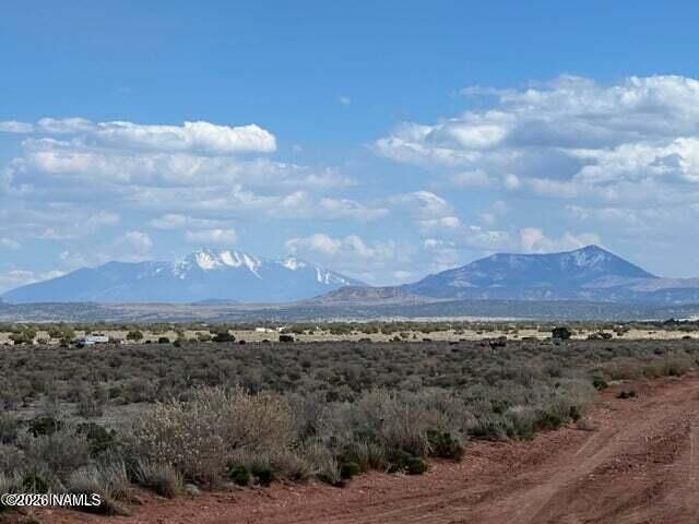 Property Photo:  603 S Wyandotte Road  AZ 86046 