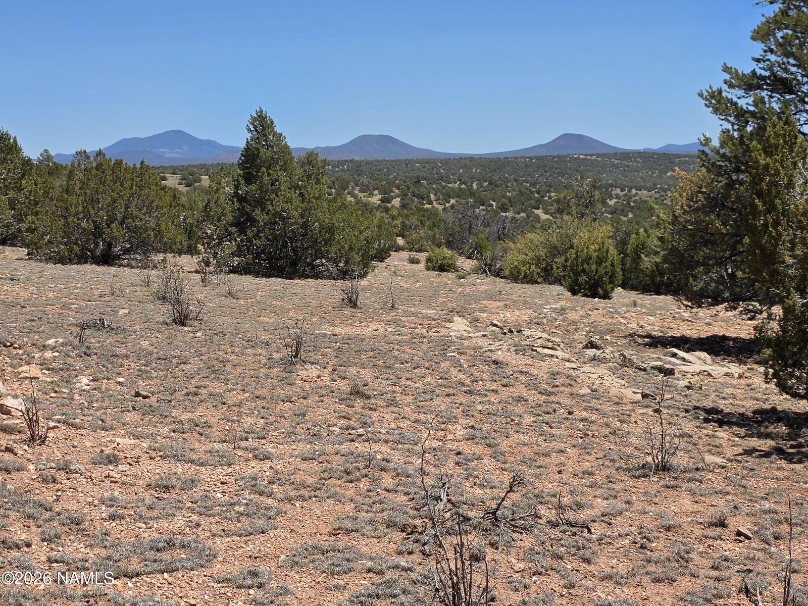 Property Photo:  9966 Northstar Road  AZ 86046 