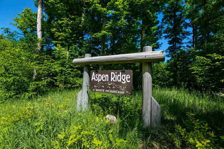 Property Photo: Tbd Aspen Ridge 14 MI 49712