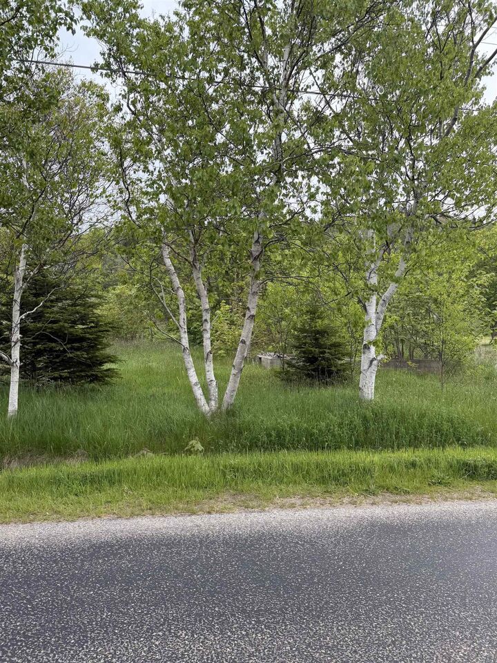 Property Photo:  262 Trout Cove Road  NS B0V 1A0 