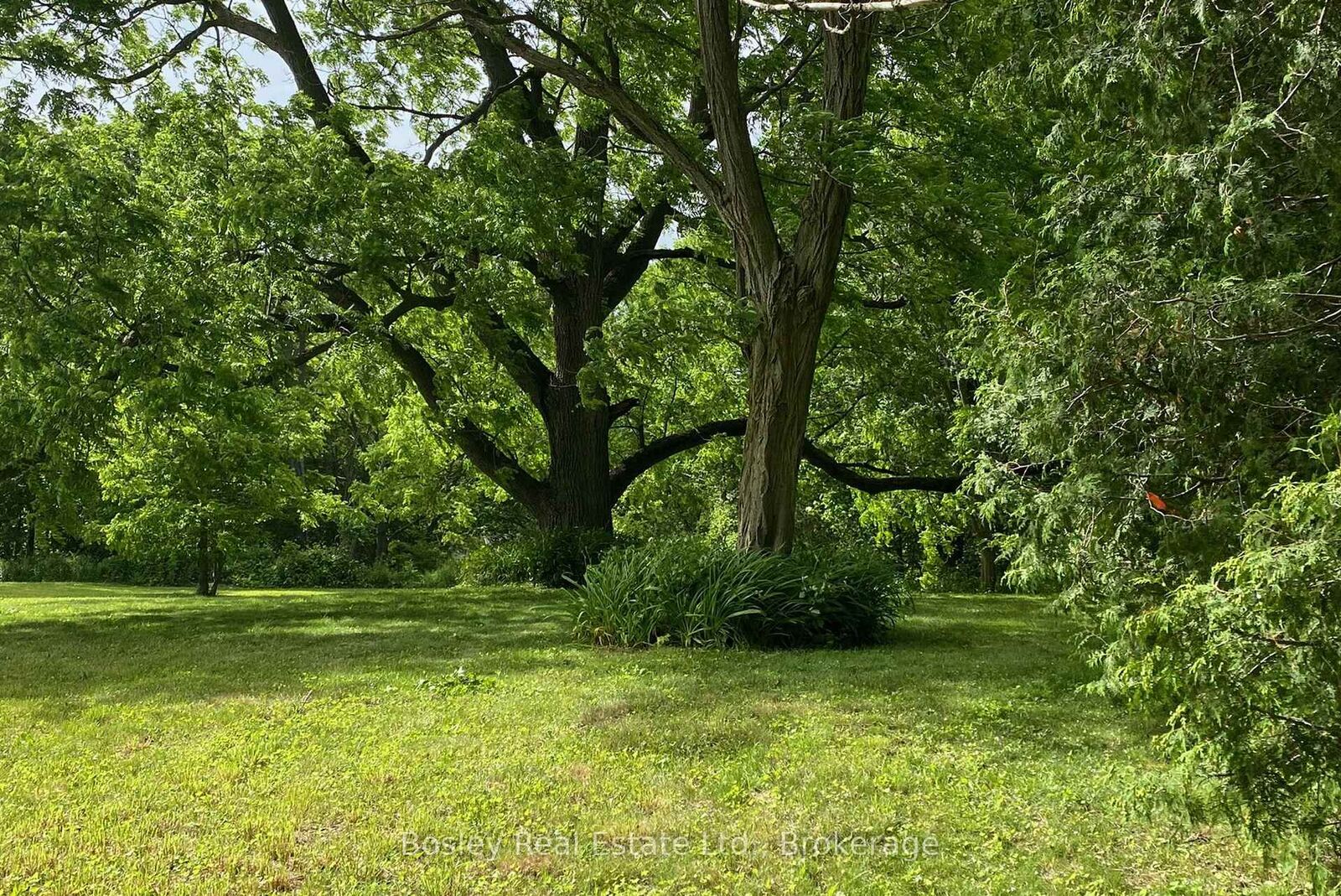Property Photo:  106 Bruton Street  ON L1A 1V3 