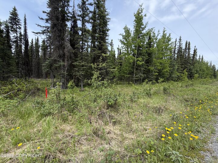 Property Photo:  L12a Goodyear Street  AK 99669 