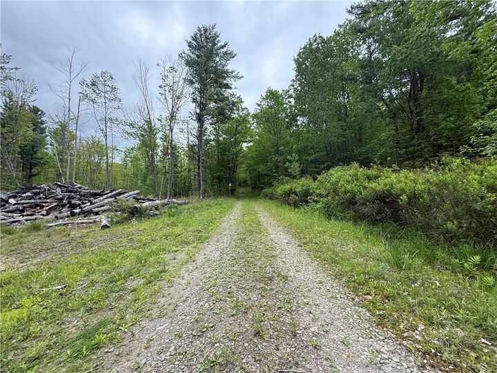 Property Photo:  Hawley Road  NY 14815 