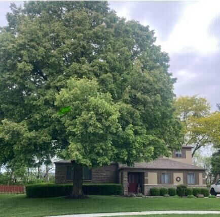 Property Photo: 1791 Hickory Hill Drive OH 43228