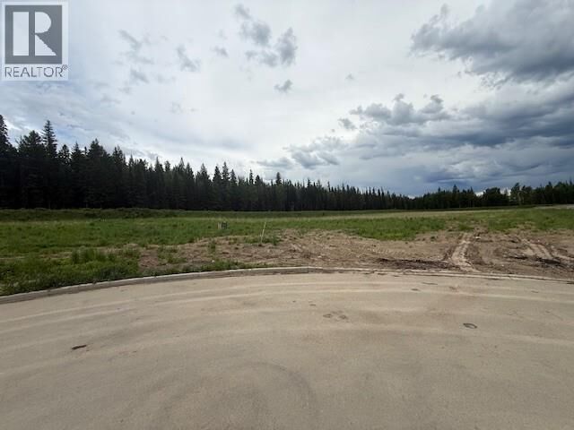 Property Photo:  1128 Legacy Road  BC V2N 6E4 