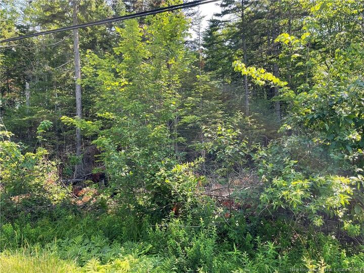 Property Photo:  Lot 3 Route 490  NB E1G 3J4 
