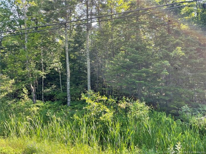 Property Photo:  Lot 1 Route 490  NB E1G 3J4 
