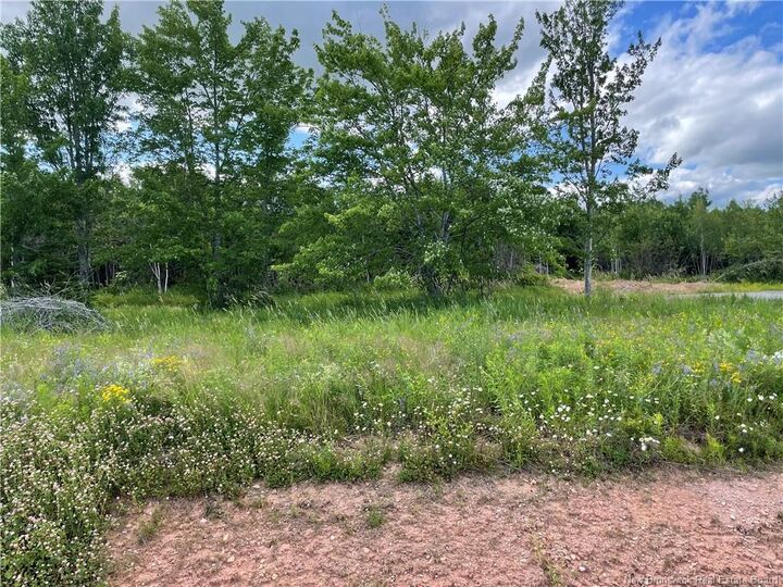 Property Photo:  Lot 21-5 Fawcett Avenue  NB E4Z 4H3 