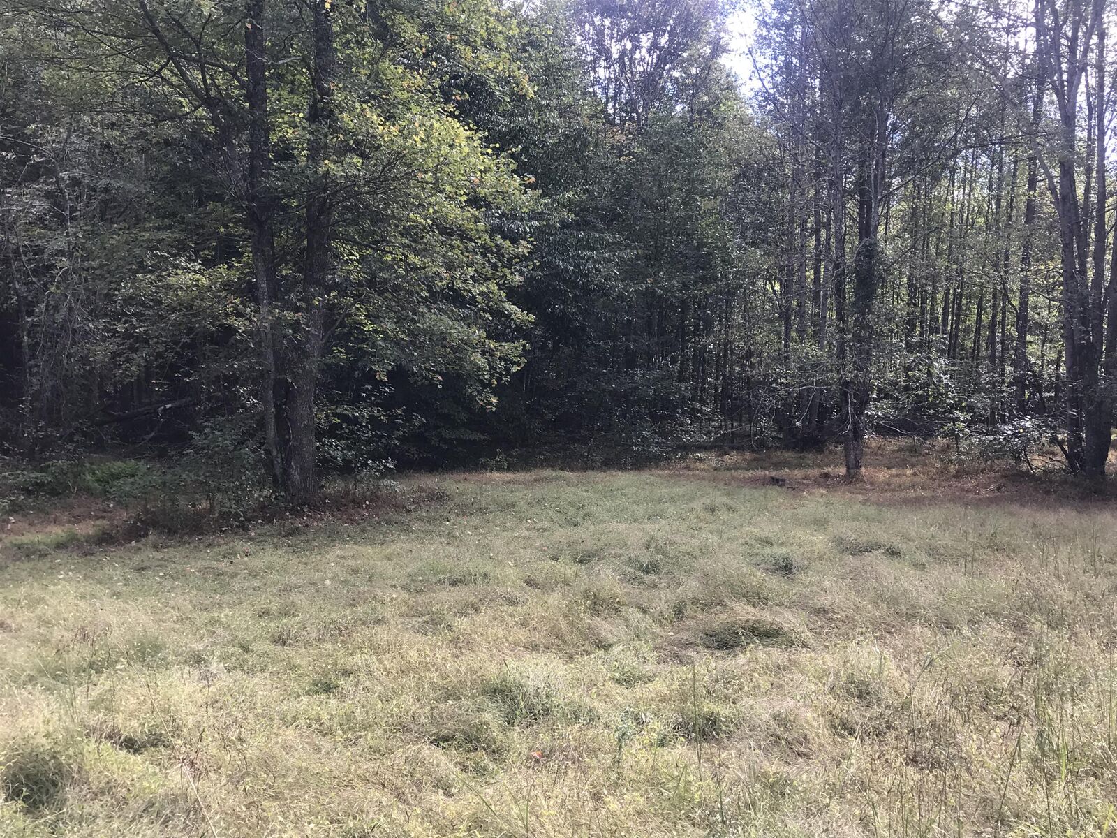 Property Photo: Tbd Farmhouse Trail 91 Acres Land KY 40351