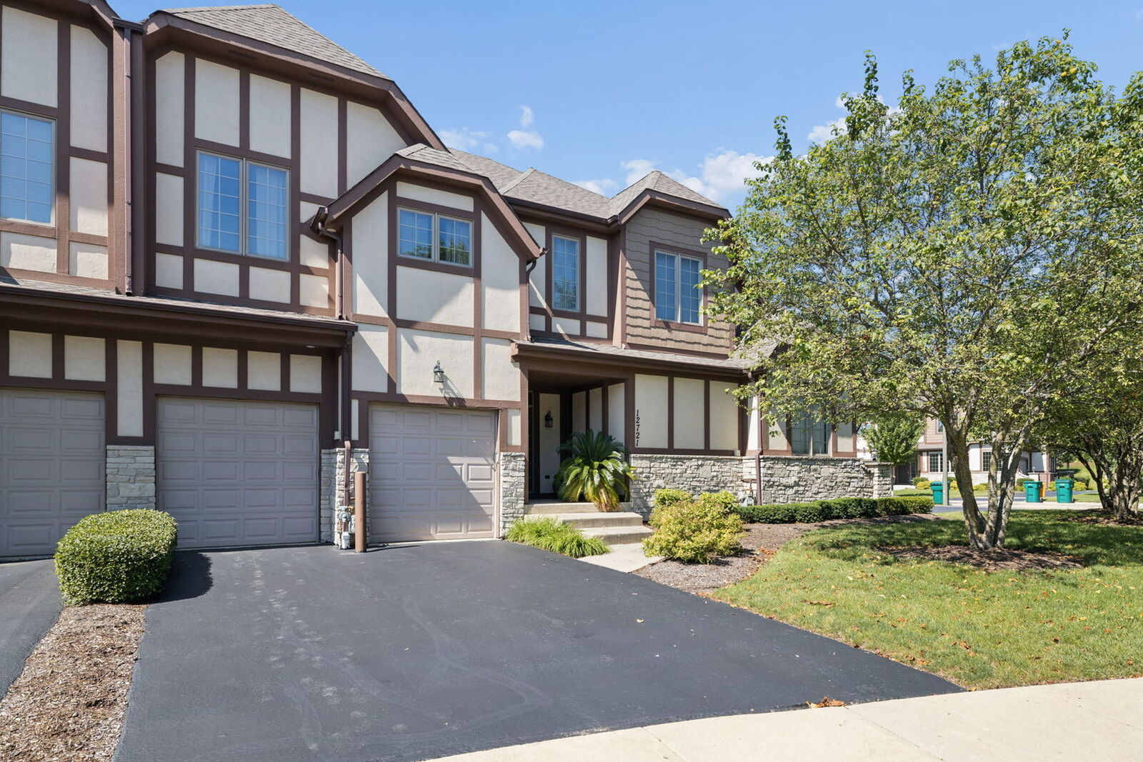 Property Photo:  12721 Wild Rye Court C  IL 60585 