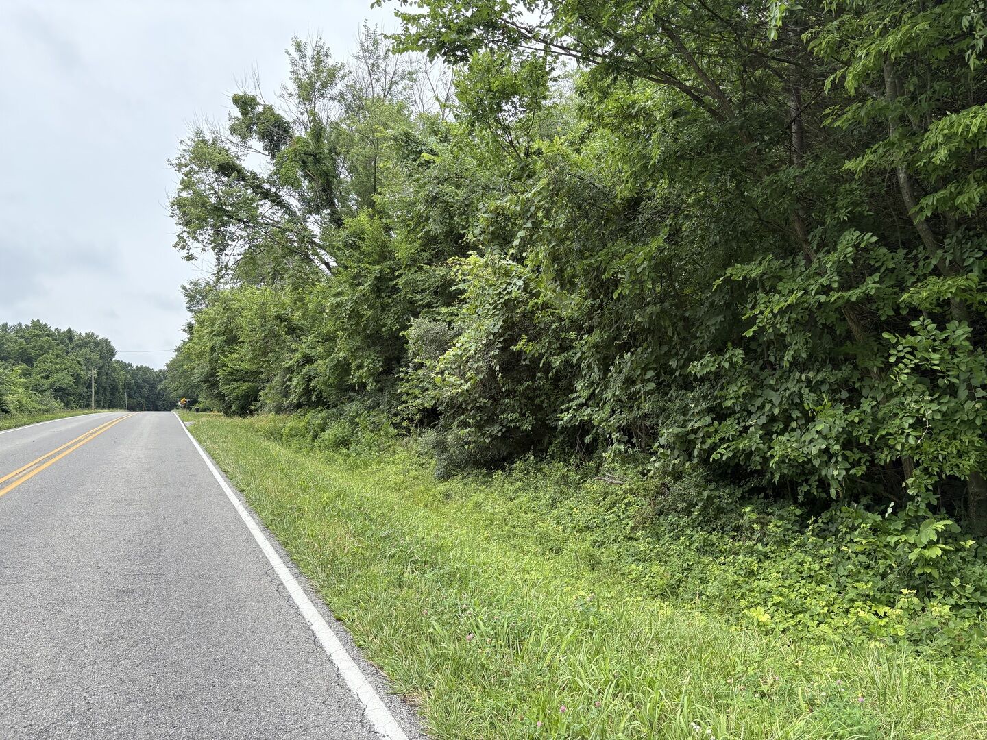 Property Photo: 3258 Grassy Road IL 62902