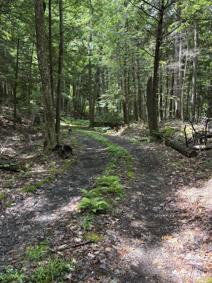 Property Photo: 00 Brown Road ME 04949