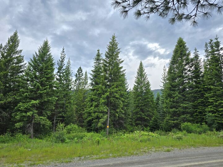 Property Photo:  4577 Quartz Creek Road  MT 59923 