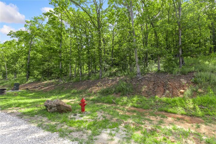 Property Photo:  Lot 64 Restore Ridge  AR 72601 