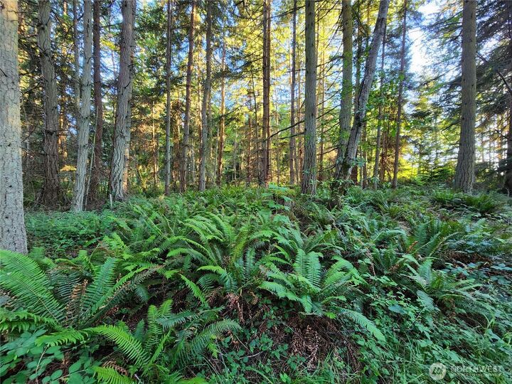 Property Photo:  1664  Lancaster Rd  WA 98249 